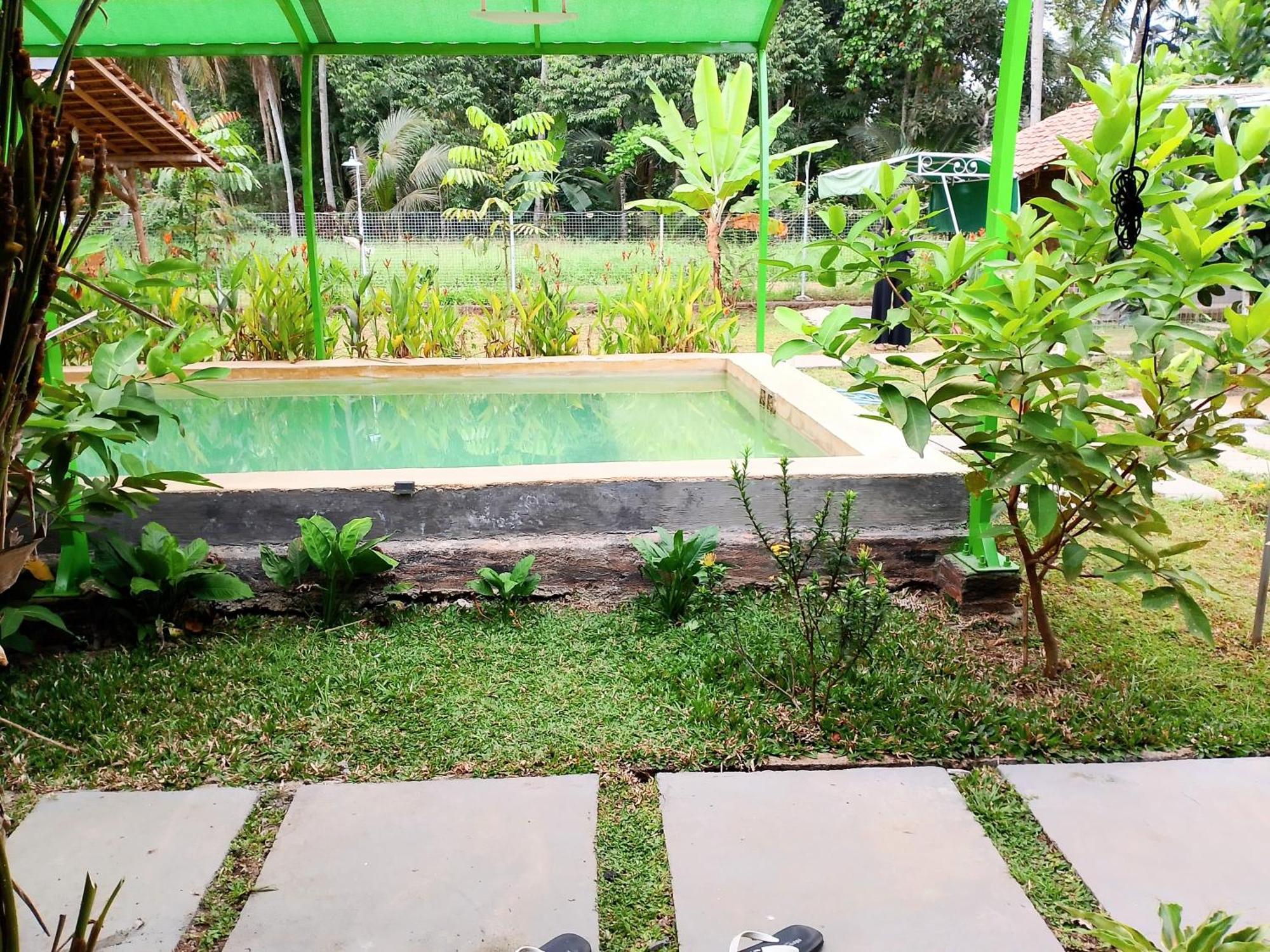 Wooden Kemiren Homestay Banyuwangi Banyuwangi  Exterior photo